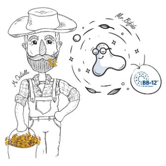 Section 2 – Meet Bifidus