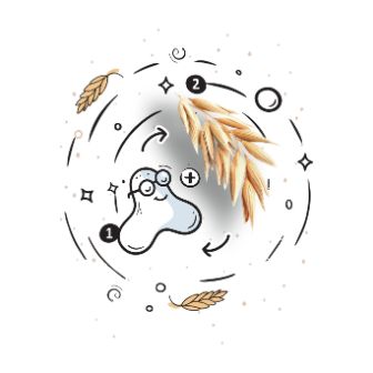 Section 3 – Probiotics vs. Prebiotics_ver 2